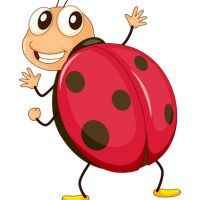 illustration of a comical ladybird